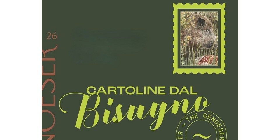 Cartoline dal Bisagno