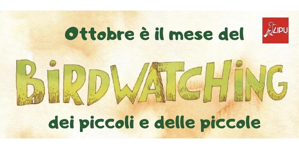 Birdwatching dei piccoli e delle piccole 2026