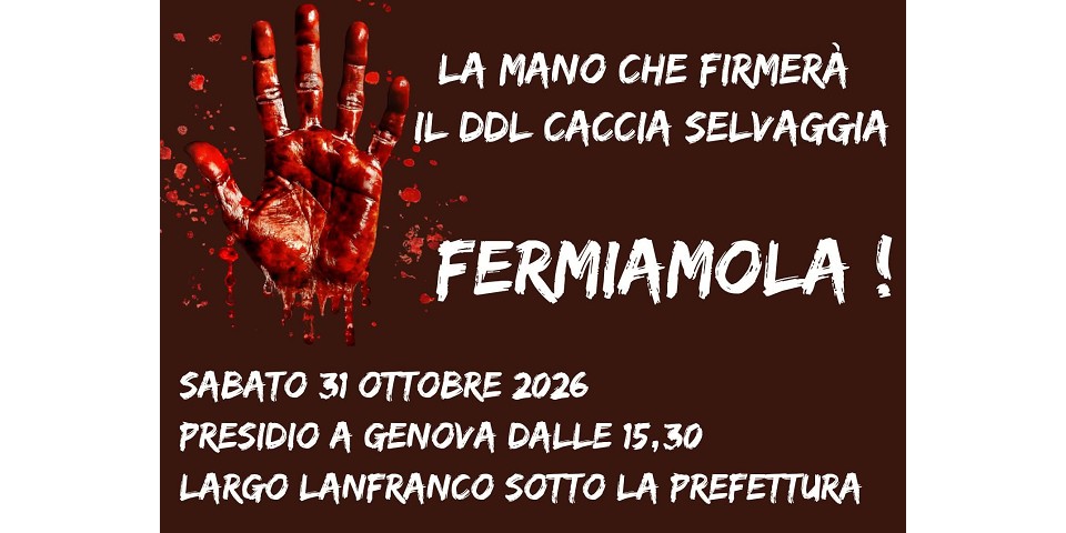 Presidio contro il DDL Caccia selvaggia