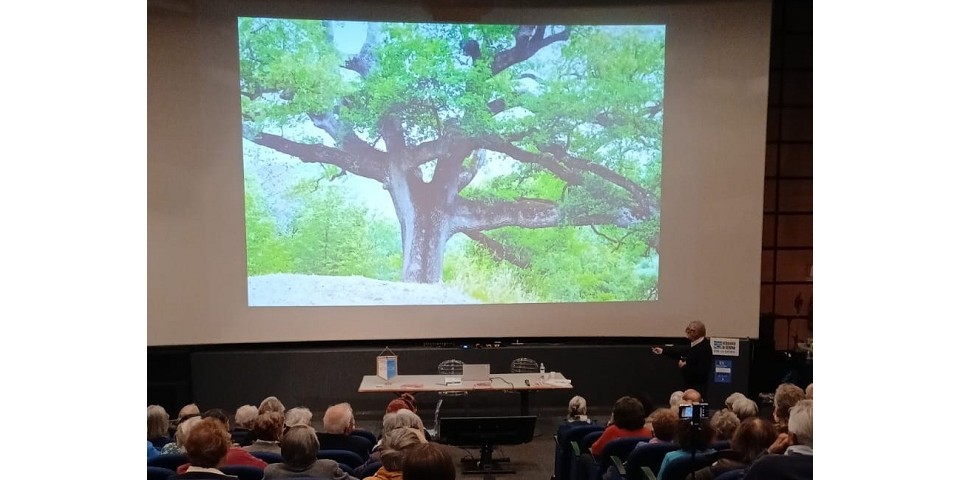 Alberi in Liguria tra natura e cultura