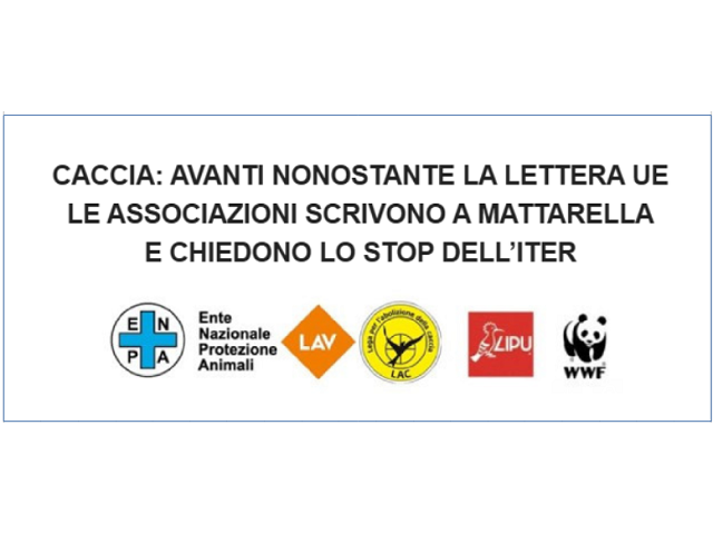 Comunicato stampa 12 maggio 2026