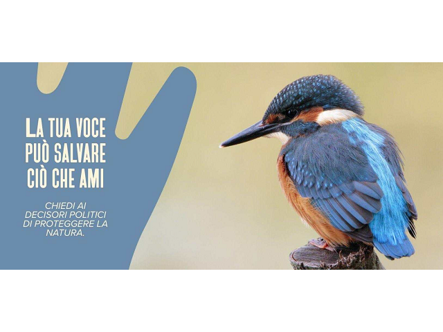 Giù le mani dalla Natura - Handsoffnature