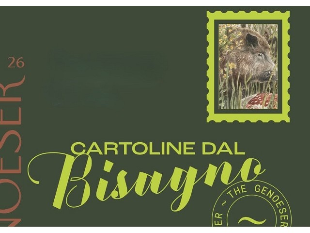 Cartoline dal Bisagno